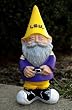 Louisiana State University Gnome