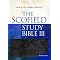 Buy a Study Bible