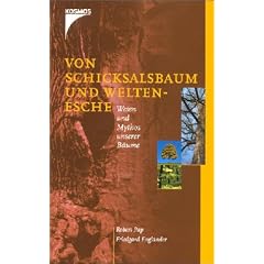 Von Schicksalsbaum und Weltenesche