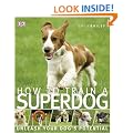 How to Train A Superdog
