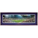 Everlasting Images Houston Texans Reliant Stadium Deluxe Framed Print