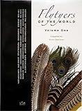 Flytyers of the world