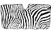 Jumbo Size Folding Sun Shade - Safari Animal Series Zebra Black and White