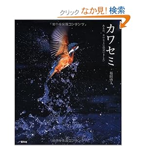 【クリックでお店のこの商品のページへ】カワセミ―ある日、カワセミに出会いました。: 福田 啓人: 本