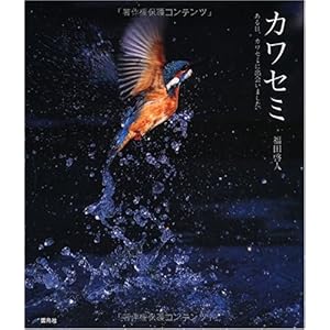 【クリックで詳細表示】カワセミ―ある日、カワセミに出会いました。： 福田 啓人： 本