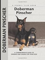Doberman Pinscher