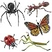 Hidden Kingdom Insect World