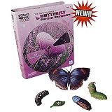 Metamorphosis Kit - Butterfly