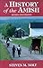 History of the Amish: Revised And Updated