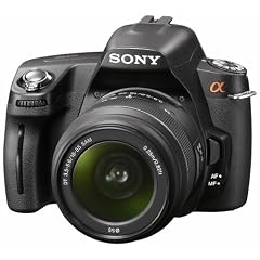 Sony DSLR A290L SLR Digitalkamera (14 MP CCD Sensor, BIONZ Bildprozessor) schwarz inkl. 18-55mm Objektiv