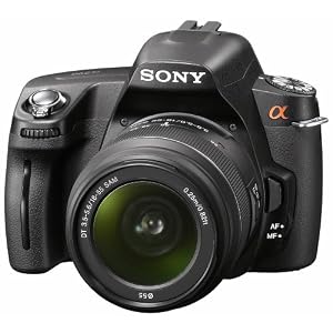 Sony DSLR A290L SLR Digitalkamera (14 MP CCD Sensor, BIONZ Bildprozessor) schwarz inkl. 18-55mm Objektiv