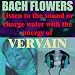 Vervain - (Listen to the sound or charge water with the energy of Vervain)