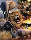 African Big Five (Elephant, Leopard, Lion, African Buffalo, Rhinoceros) Art Poster Print - 16
