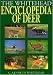 Whitehead
Encyclopedia
Of
Deer