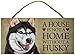 A house is not a home without Siberian Husky - 5