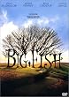Big Fish