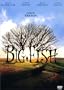 Big Fish