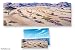 Search : Desert Flannelboard Overlay - Large