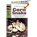 Corn and Red Rat Snakes (Herpetology Series)