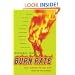 Burn Rate: How I Survived the Gold Rush Years on the Internet