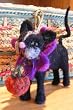 Bird Brain Designs Flora Black Cat Pumpkin Felting Kit