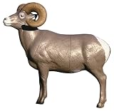McKenzie  HD Bighorn Sheep Target Midsection Only