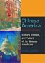 Chinese America Stereotype and Reality