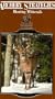 Archery Strategies-Whitetails [VHS]