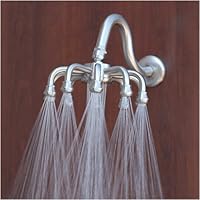 Octo Spray Rain Shower Head with Arm, Brushed Nickel