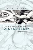 Silverview