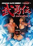 武勇伝 selection3 [DVD]