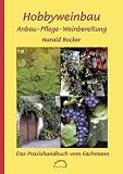 Hobbyweinbau