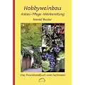 Hobbyweinbau
