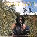 Legalize It