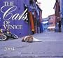 The Cats of Venice