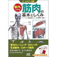 動作でわかる筋肉の基本としくみ