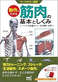 動作でわかる筋肉の基本としくみ