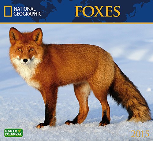 foxes 2015
