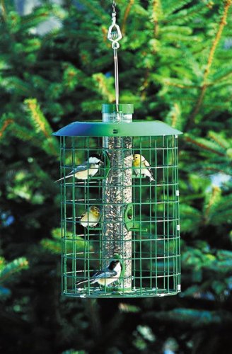 18804 Squirrel Proof Select #: 18804