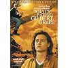 What's Eating Gilbert Grape (Special Collector's Edition)
