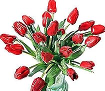 20 Deluxe Red Tulips - Valentine Tulips