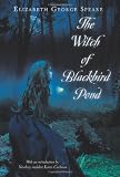 The Witch of Blackbird Pond