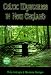 Search : Celtic Mysteries in New England