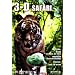 3D - Safari