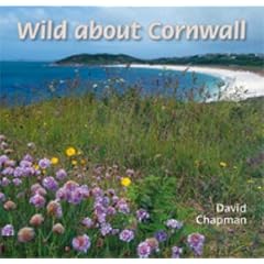 Wild About Cornwall