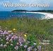 Wild About Cornwall