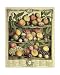 Fruits of the Season Autumn Still Life Art Poster Print by Robert Furber, 16x20