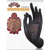Histoire du bouddhisme