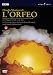 ���ƥ�����ǥ����η�ԥ���ե����եꥻ����η��2002 [DVD]