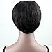 Dreambeauty Virgin Remy Human Hair Short Human Hair Wigs for Black Women Natural Straight